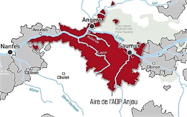 Aoc Anjou