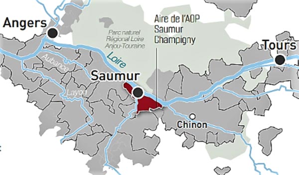 Aoc Saumur-Champigny