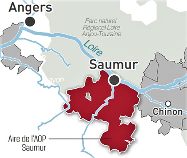 Aoc Saumur