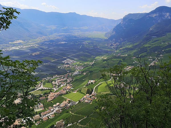 Bassa Atesina. Suoli caratterizzati principalmente da roccia calcarea e dolomitica