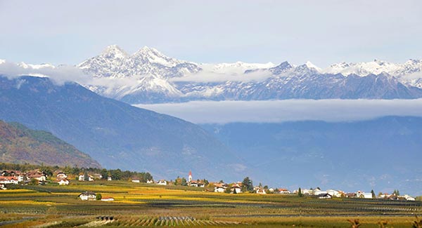 Cantina Andriano. Paesaggio e vigneti