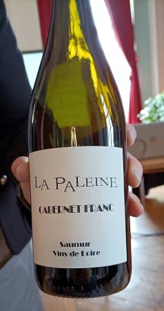 Aoc Saumur Rouge “La Paleine” 2020 – Domaine de la Paleine