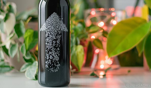 Monferrato Rosso Policalpo 2017 Cascina Castlèt