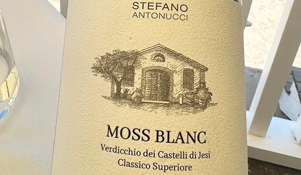 Verdicchio dei Castelli di Jesi Classico Superiore Moss Blanc 2020 Stefano Antonucci
