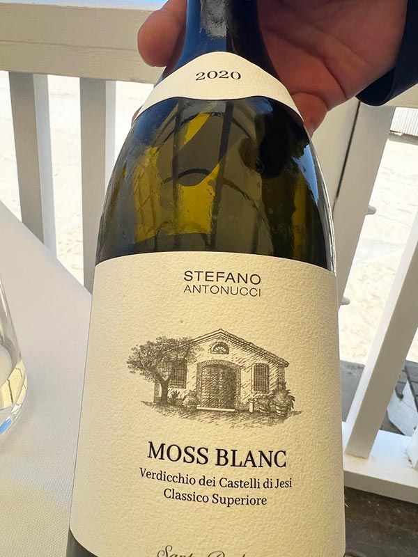 Verdicchio dei Castelli di Jesi Classico Superiore Moss Blanc 2020 Stefano Antonucci