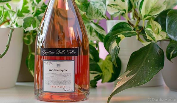 Spumante Brut Rosé Metodo Classico Il Mattaglio Specialist 2018 Cantina della Volta