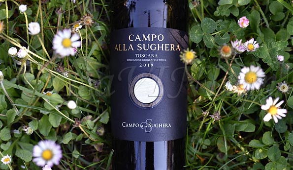 Campo alla Sughera 2019 Campo alla Sughera