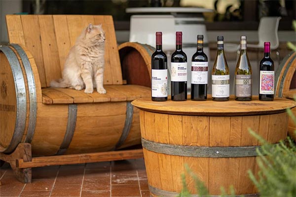 I vini Russiz Superiore