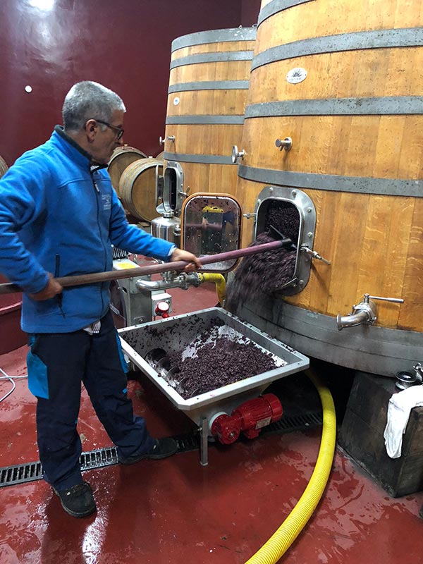 Papà Giuseppe in cantina