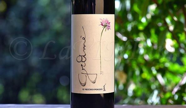 Bianco Gramé 2020 Il Vecchio Poggio