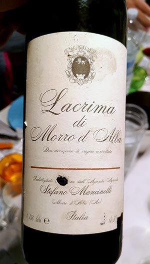 Lacrima di Morro d'Alba 1993 Stefano Mancinelli