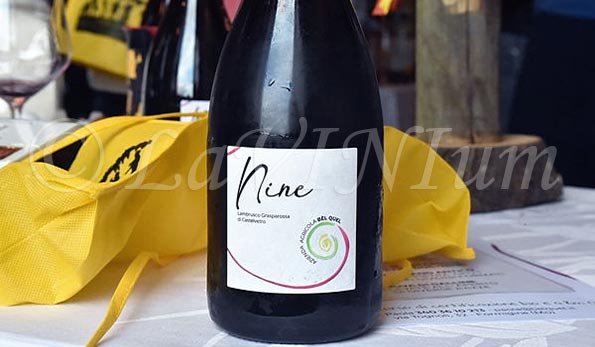 Lambrusco Grasparossa di Castelvetro Nine Bèl Quel