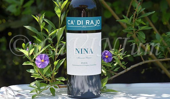 Piave Manzoni Bianco Nina 2021 Ca' di Rajo