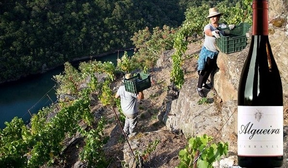 Carravel 2017 Adega Algueira