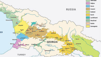 Georgia Wine Regions