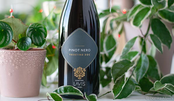 Trentino Pinot Nero 2021 La-Vis