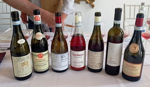 Bottiglie di Cerasuolo d'Abruzzo