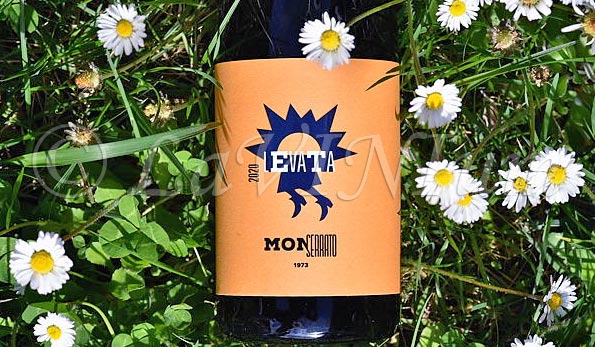 Falanghina Levata 2020 Monserrato 1973