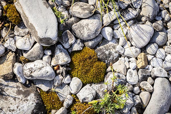 Piera 1899, il suolo