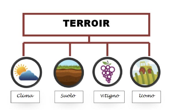 Terroir