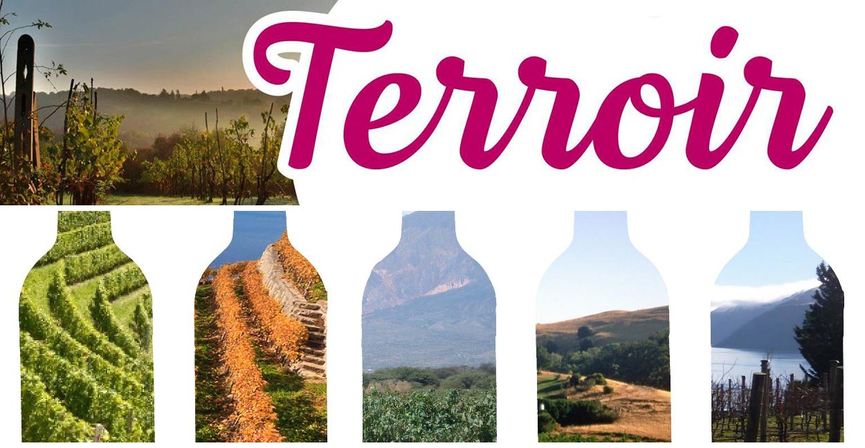 Terroir