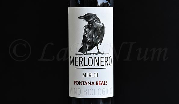 Merlot Merlonero 2021 Fontana Reale