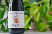 Rosso Sarica 2019 Fratelli Pisoni
