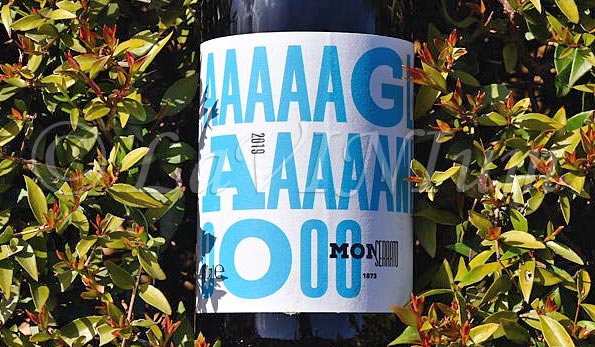 Sannio Aglianico 2019 Monserrato 1973