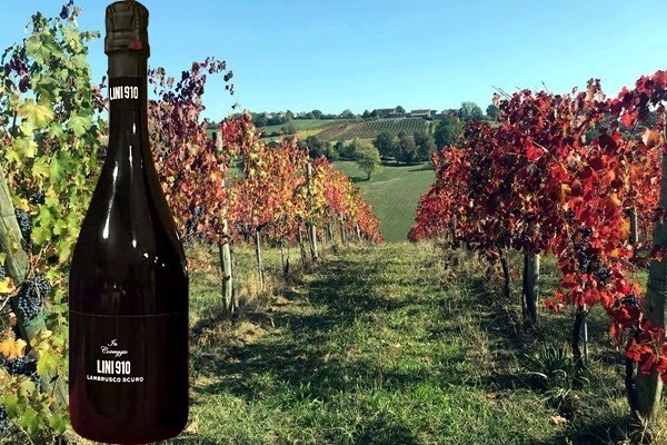 Lambrusco scuro ”Lini 910” Oreste Lini & figli
