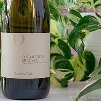 Abruzzo Cococciola 2022 Cantina Tollo
