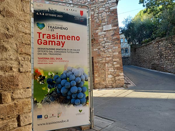 Anteprima Trasimeno Gamay 2023