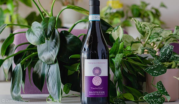 Dolcetto d'Alba Cascina Crosa 2022 Pasquale Pelissero