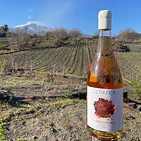 Versante Sud Macerato 2021 Serafica