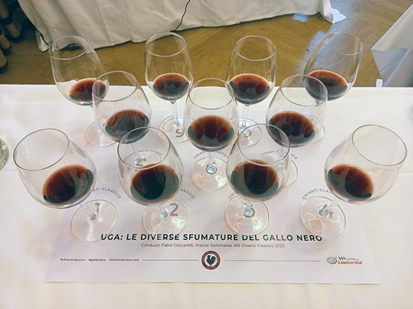 Il Chianti Classico nel calice