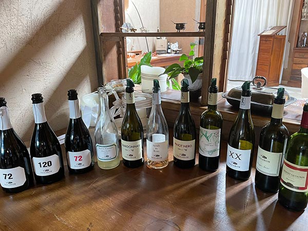 La batteria dei vini in assaggio