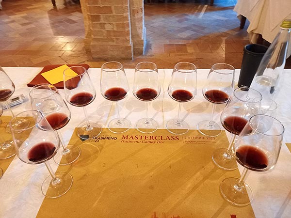 Masterclass Gamay del Trasimeno
