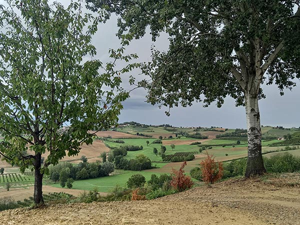 Panorama sulle colline di Scurzolengo