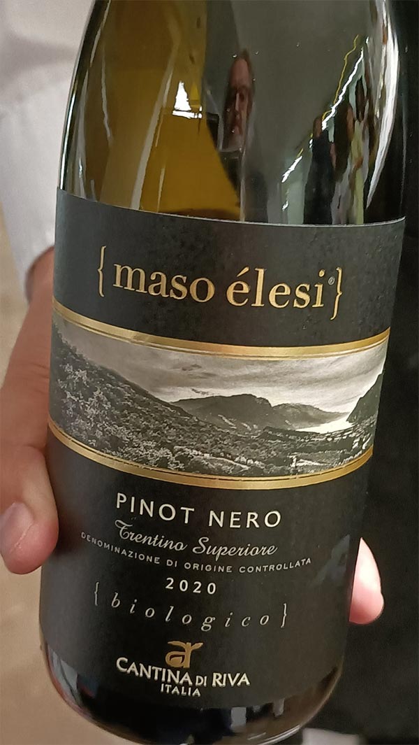 Trentino Superiore Doc Pinot Nero “Maso Élesi” Le Selezioni Biologico 2020