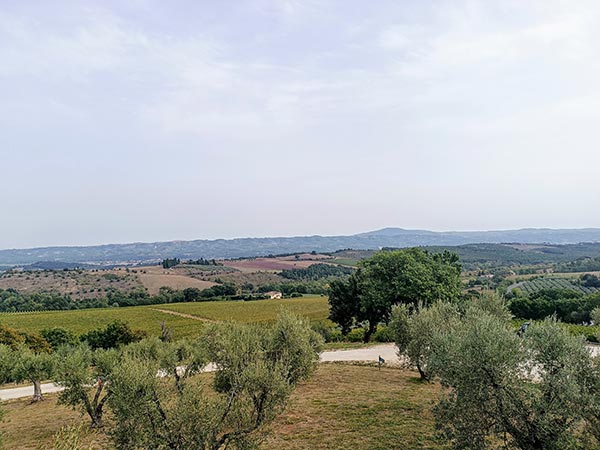 Podernuovo a Palazzone