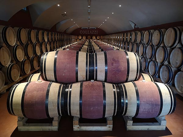 Collazzi bottaia