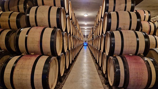 Domaine David Duband, bottaia