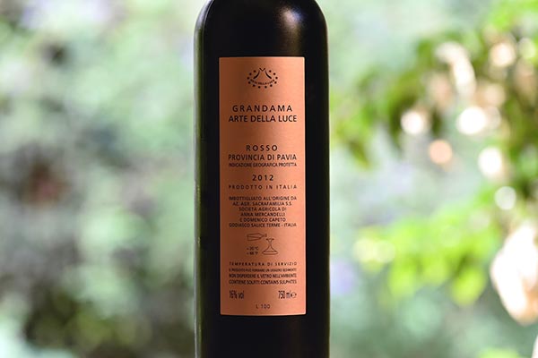 Grandama Arte della Luce 2012 Sacrafamilia