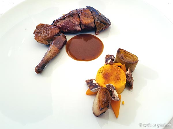 Il Piccione...viaggiatore