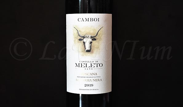 Malvasia Nera Camboi 2019 Castello di Meleto