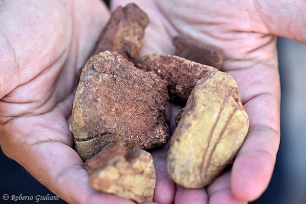 I sassi che compongono il suolo di Monteverro