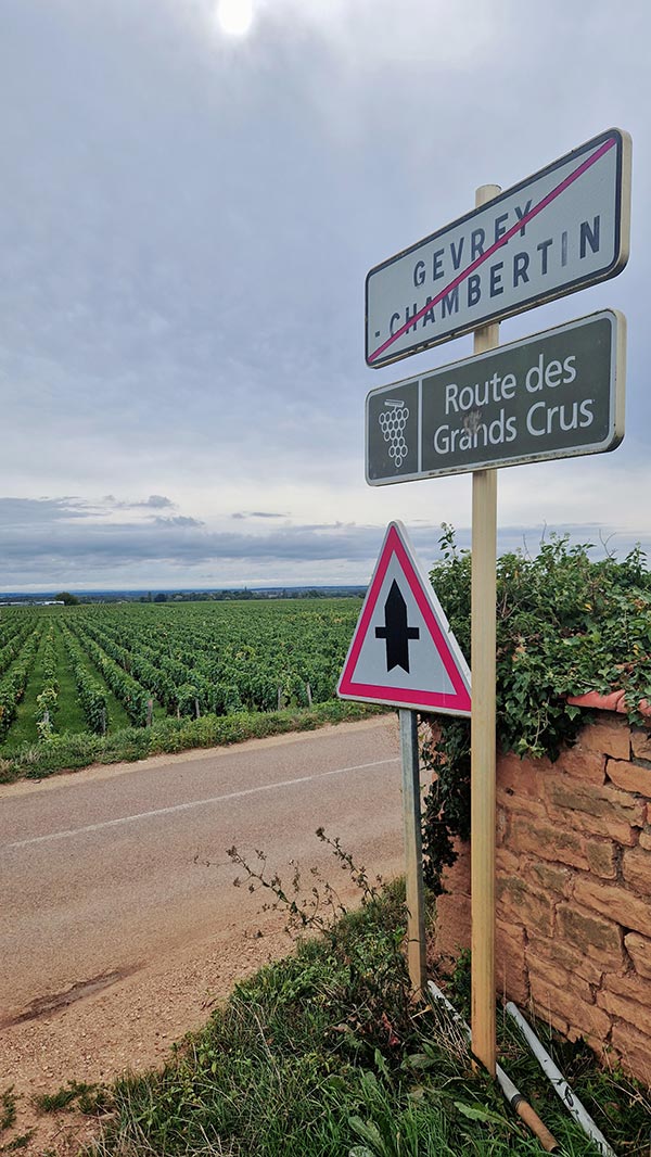 Routes des grand crus