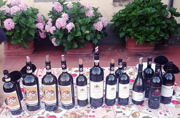 Degustazione Chianti Classico La Sala del Torriano