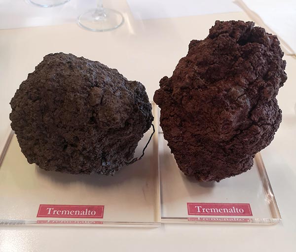 Suolo UGA Tremenalto