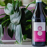 Barbera d'Alba Anna 2021 Pasquale Pelissero
