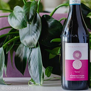 Barbera d'Alba Anna 2021 Pasquale Pelissero